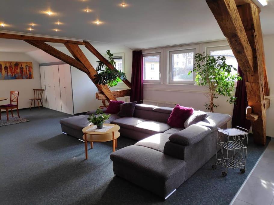 Grosse 130 M2 Gemuetliche Wohnung Im Herzen Tribergs Triberg im Schwarzwald Luaran gambar