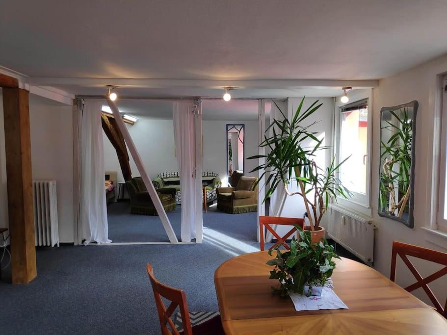 Grosse 130 M2 Gemuetliche Wohnung Im Herzen Tribergs Triberg im Schwarzwald Luaran gambar
