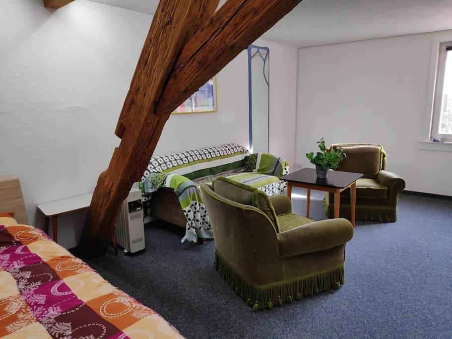 Grosse 130 M2 Gemuetliche Wohnung Im Herzen Tribergs Triberg im Schwarzwald Luaran gambar